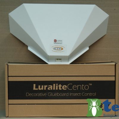 Đèn diệt côn trùng ZL011