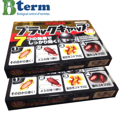 Thuốc diệt gián nhật bản