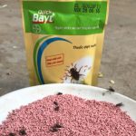 Thuốc diệt ruồi Quick Bayt