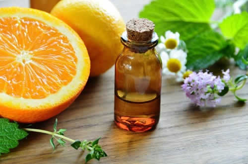 Mẹo diệt gián đức